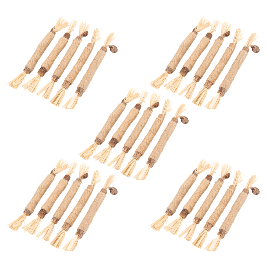 Cat's Molar Sticks